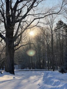 Maine Winter