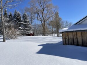 Maine Winter