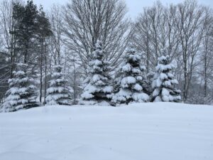 Maine Winter